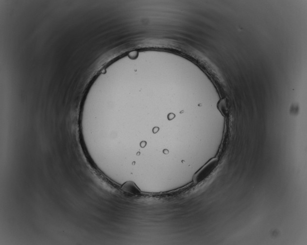 X0000100841033200807180916