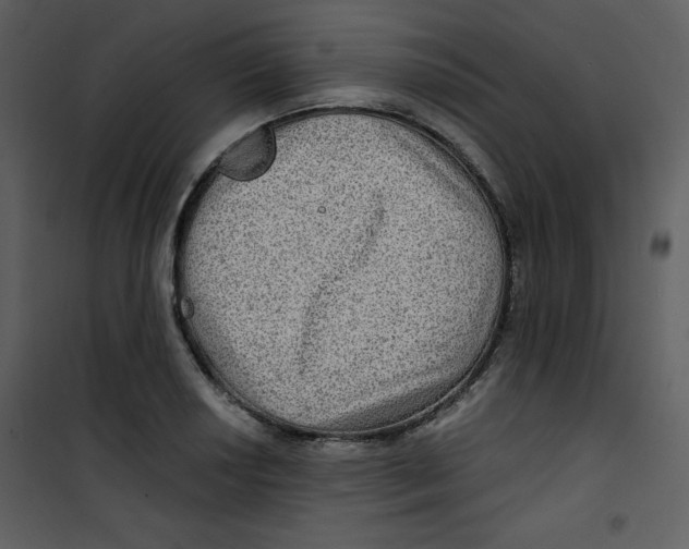 X0000100841034200807180916