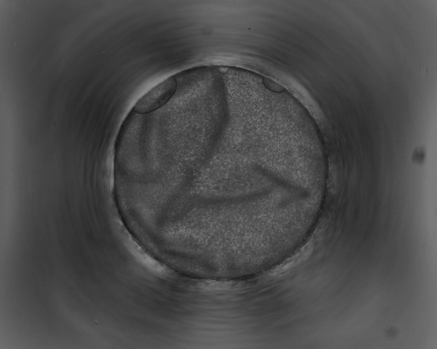 X0000100841036200807180916