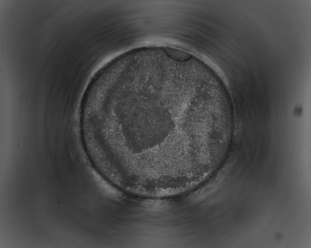 X0000100841037200807180916