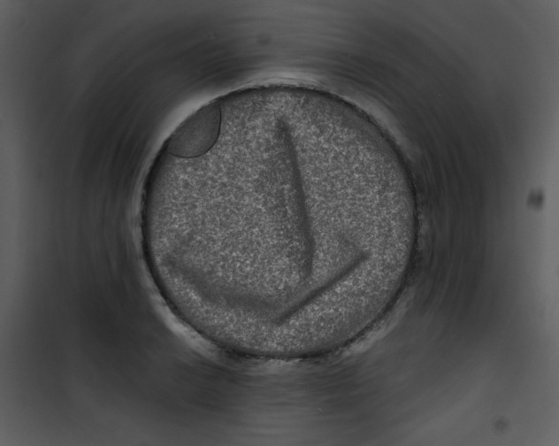 X0000100841038200807180916