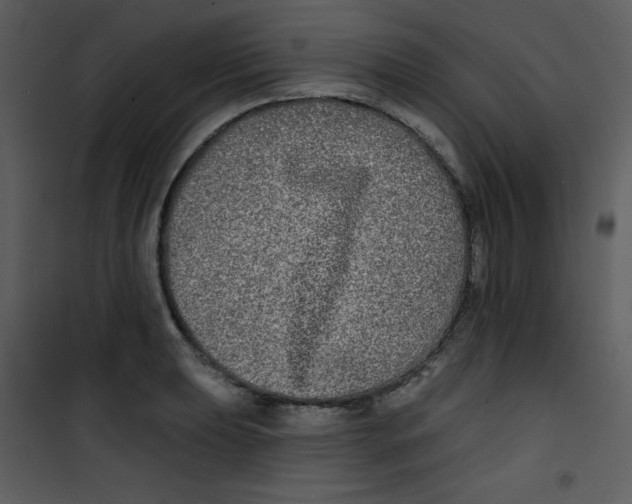 X0000100841039200807180916