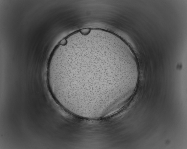 X0000100841040200807180916