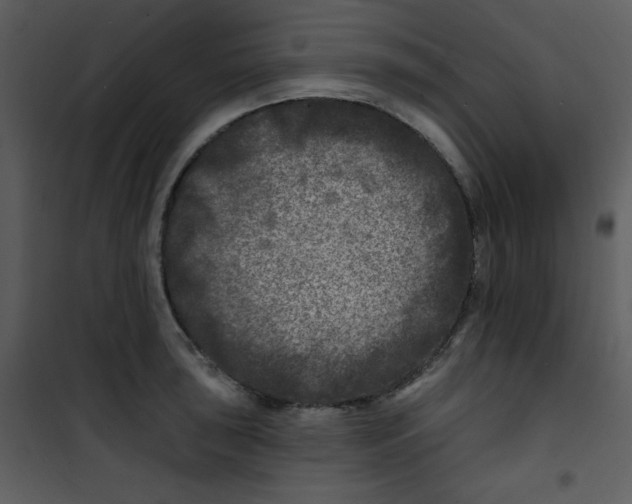 X0000100841043200807180916