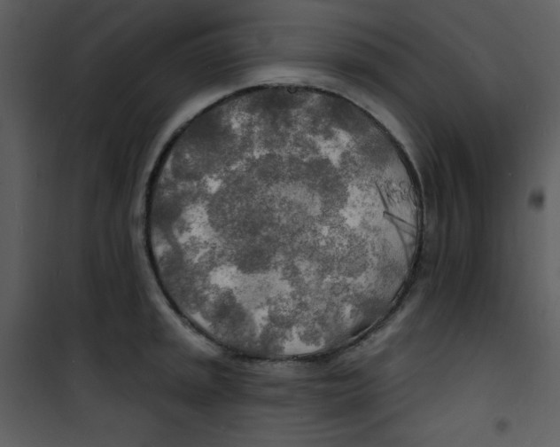 X0000100841045200807180916