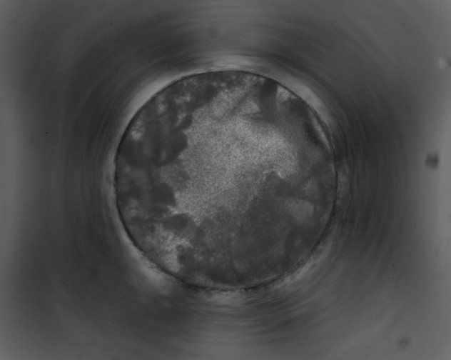 X0000100841047200807180916