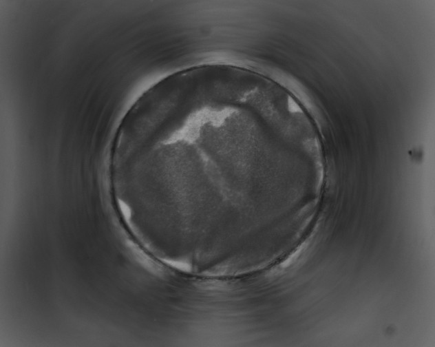 X0000100841048200807180916