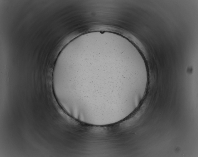 X0000100841049200807180916