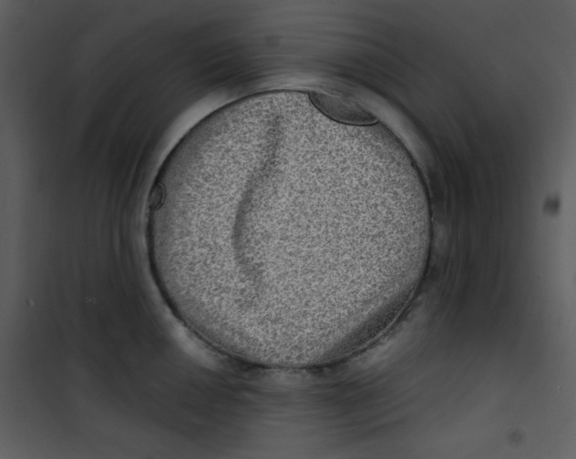 X0000100841050200807180916