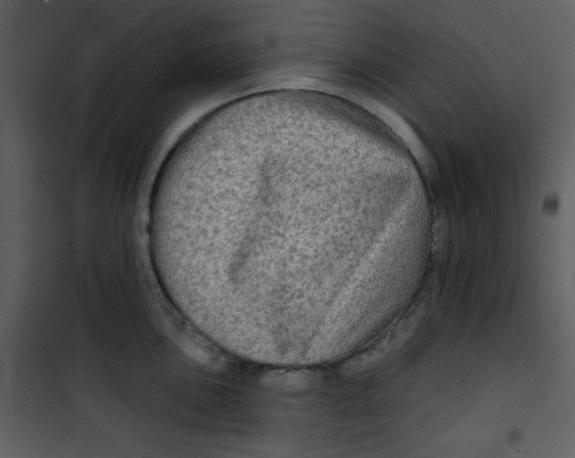 X0000100841051200807180916