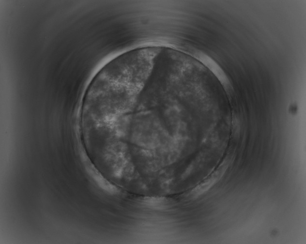 X0000100841052200807180916