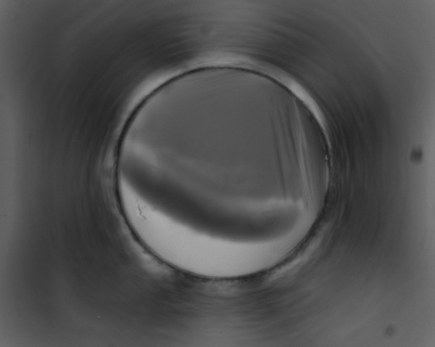 X0000100841053200807180916