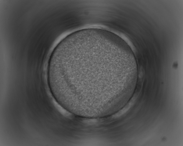 X0000100841054200807180916