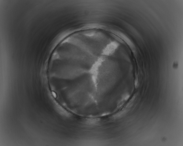 X0000100841055200807180916