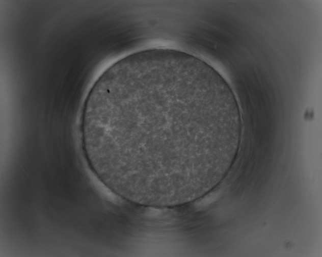 X0000100841056200807180916