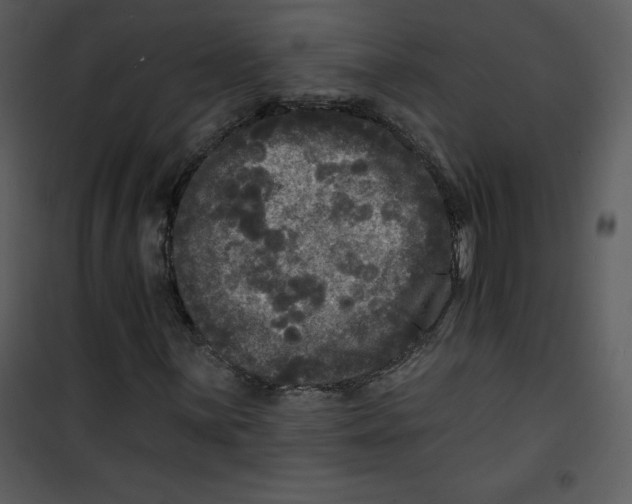 X0000100841059200807180915