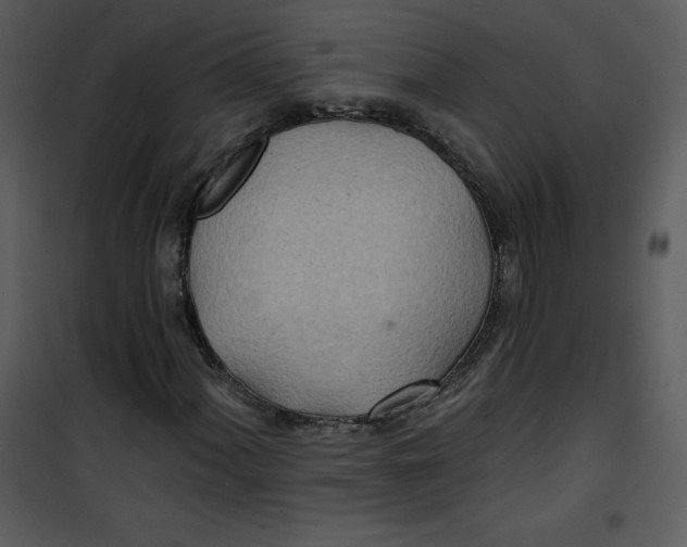 X0000100841060200807180915