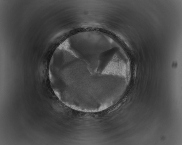 X0000100841063200807180915