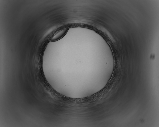 X0000100841064200807180915