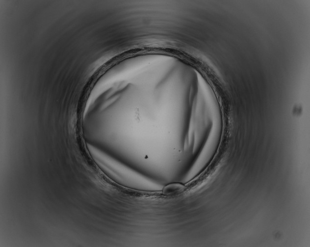 X0000100841065200807180915