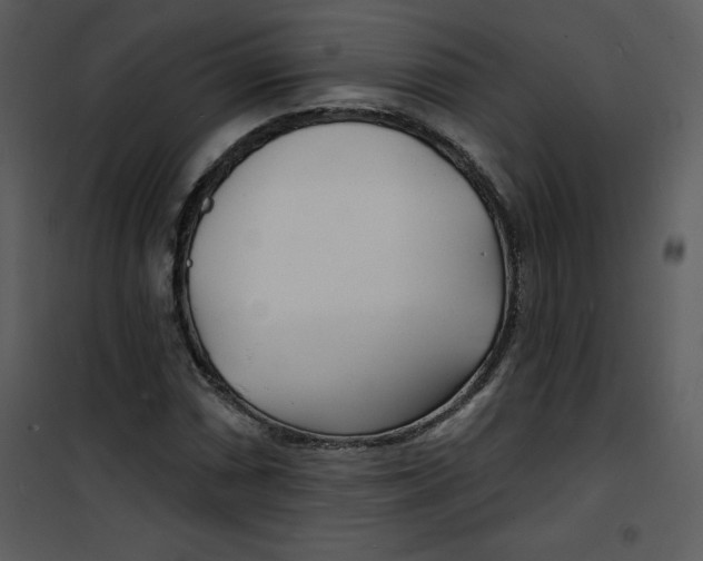 X0000100841066200807180915