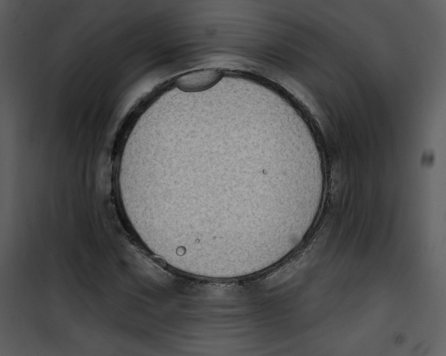 X0000100841067200807180915