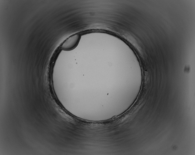 X0000100841068200807180915