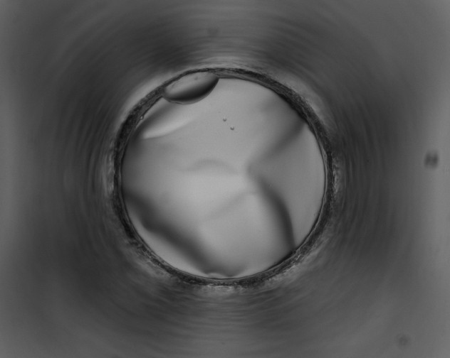 X0000100841069200807180915