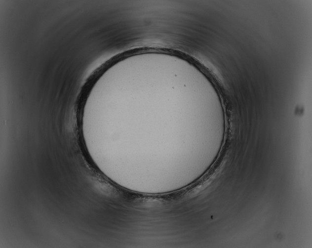 X0000100841070200807180915