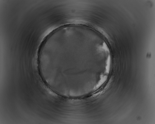 X0000100841071200807180915