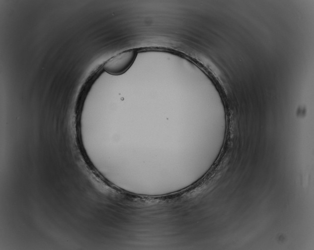 X0000100841072200807180915