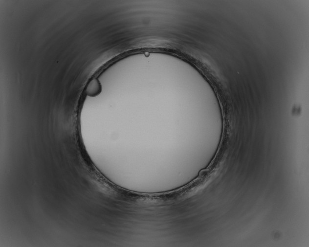 X0000100841073200807180915