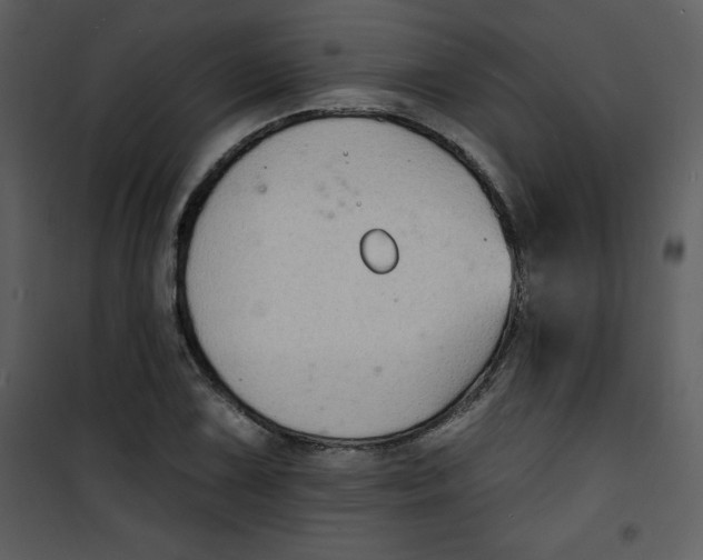 X0000100841075200807180915