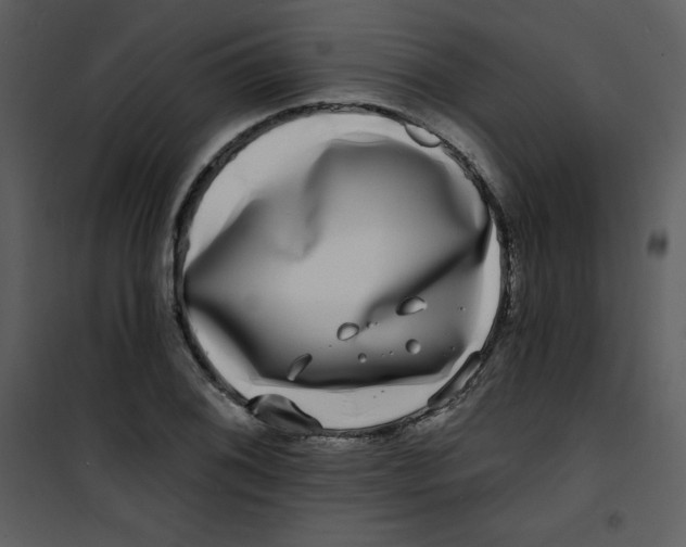 X0000100841076200807180915