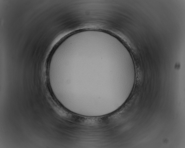 X0000100841078200807180915