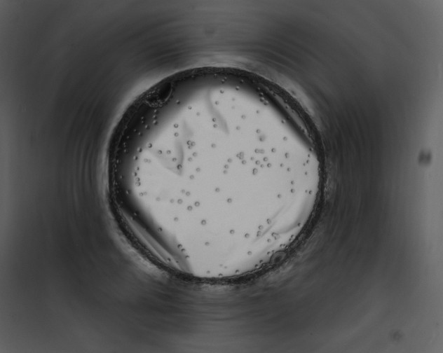 X0000100841080200807180915