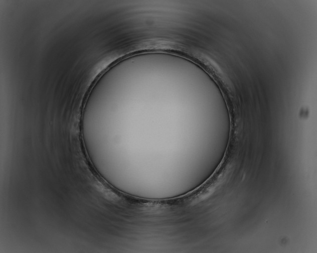 X0000100841081200807180915