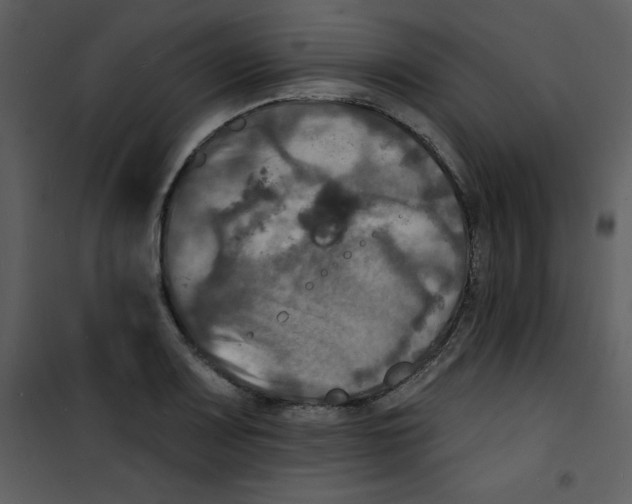 X0000100841083200807180915