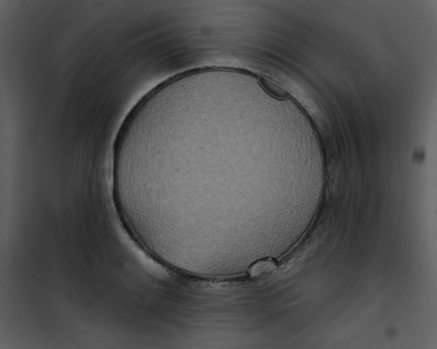 X0000100841084200807180915