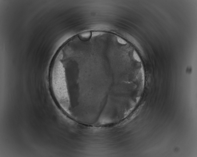 X0000100841087200807180915