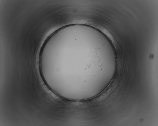 X0000100841088200807180915