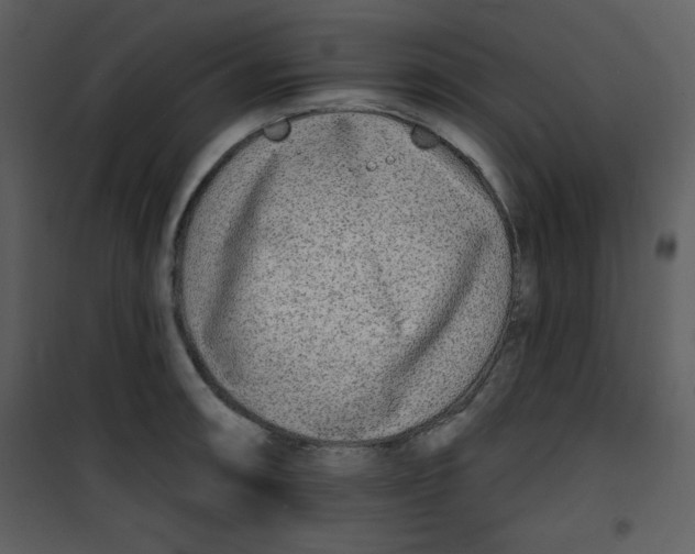 X0000100841090200807180915