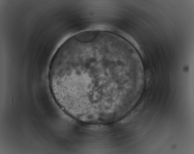 X0000100841091200807180915