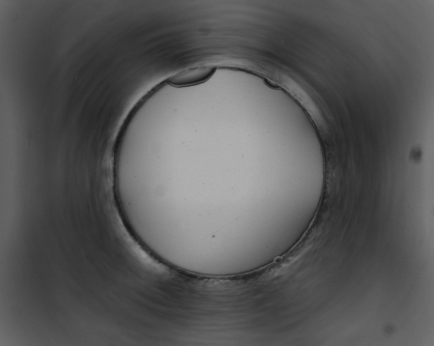 X0000100841092200807180915