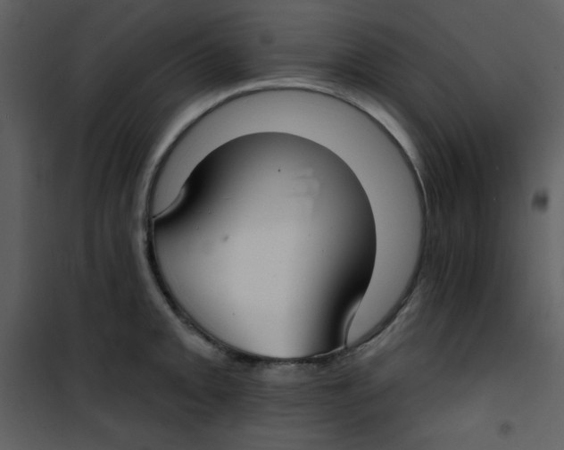 X0000100841093200807180915