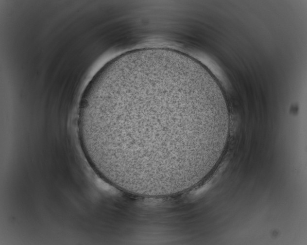 X0000100841094200807180915