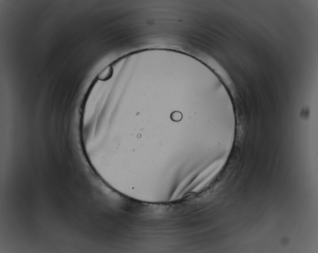 X0000100841096200807180915