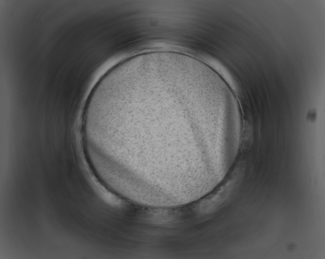 X0000100841098200807180915