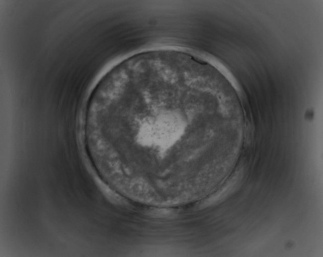 X0000100841101200807180915