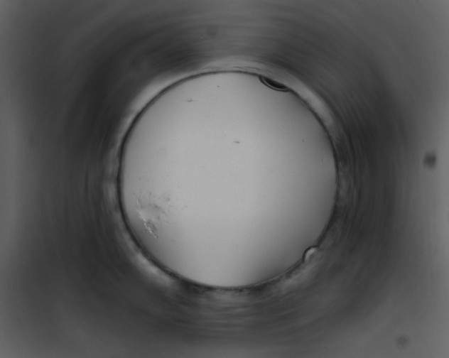 X0000100841102200807180915